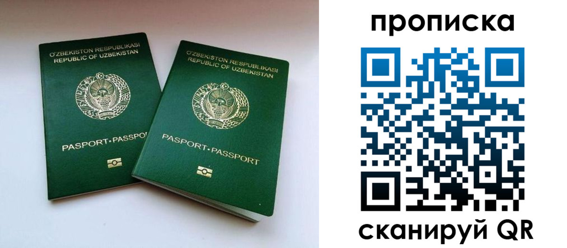 прописка поиск в Новотроицке